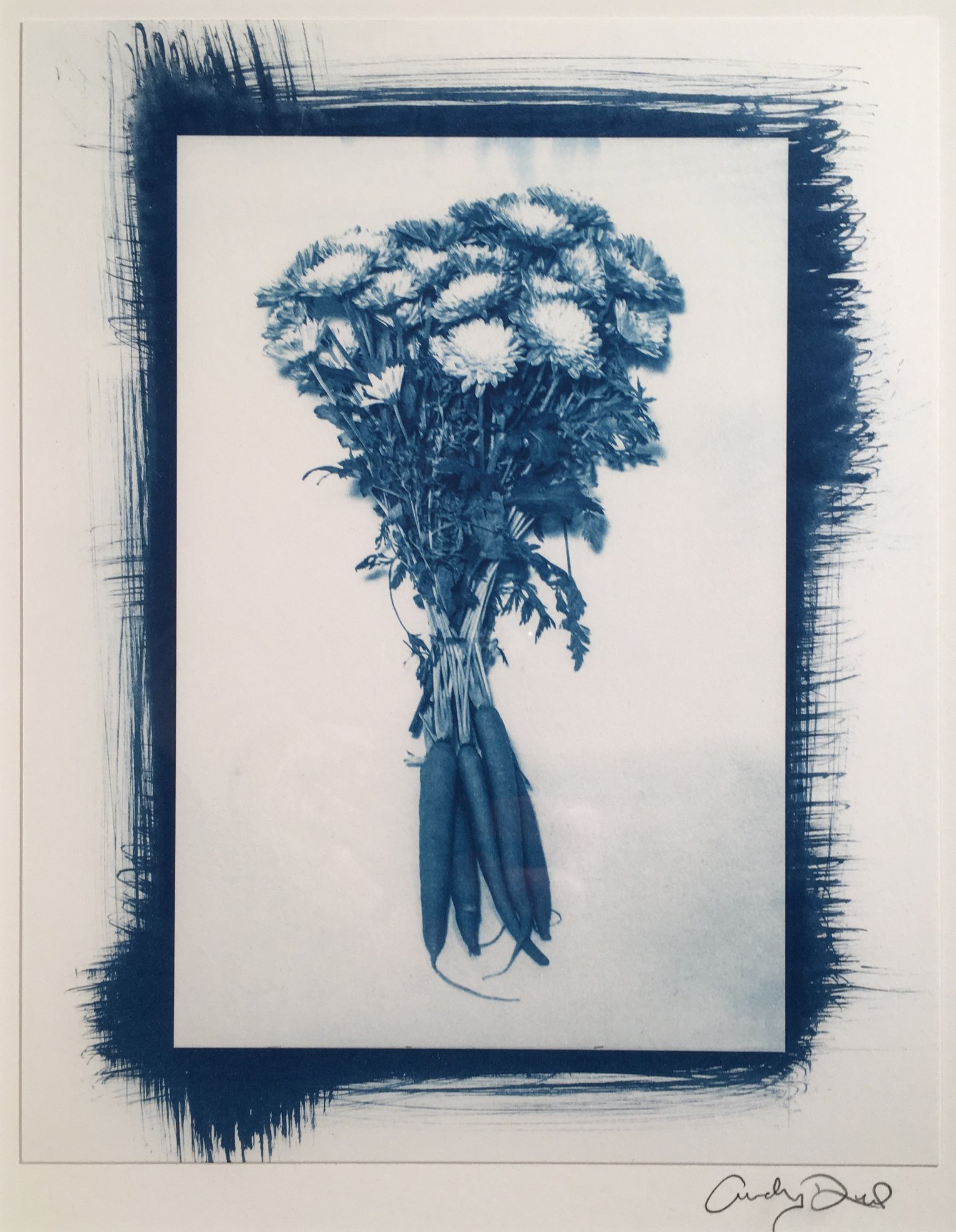 A cyanotype print of a bouquet. The centered bouquet contains both roots and flowers. The roots are possibly carrot, but the flowers at the top of the bouquet look similar to chrysanthemums with white centers and darker exterior petals. The cyanotype solution was painted on the paper and the crisp white rectangle of the image is surrounded by the brush strokes of the developed cyanotype.