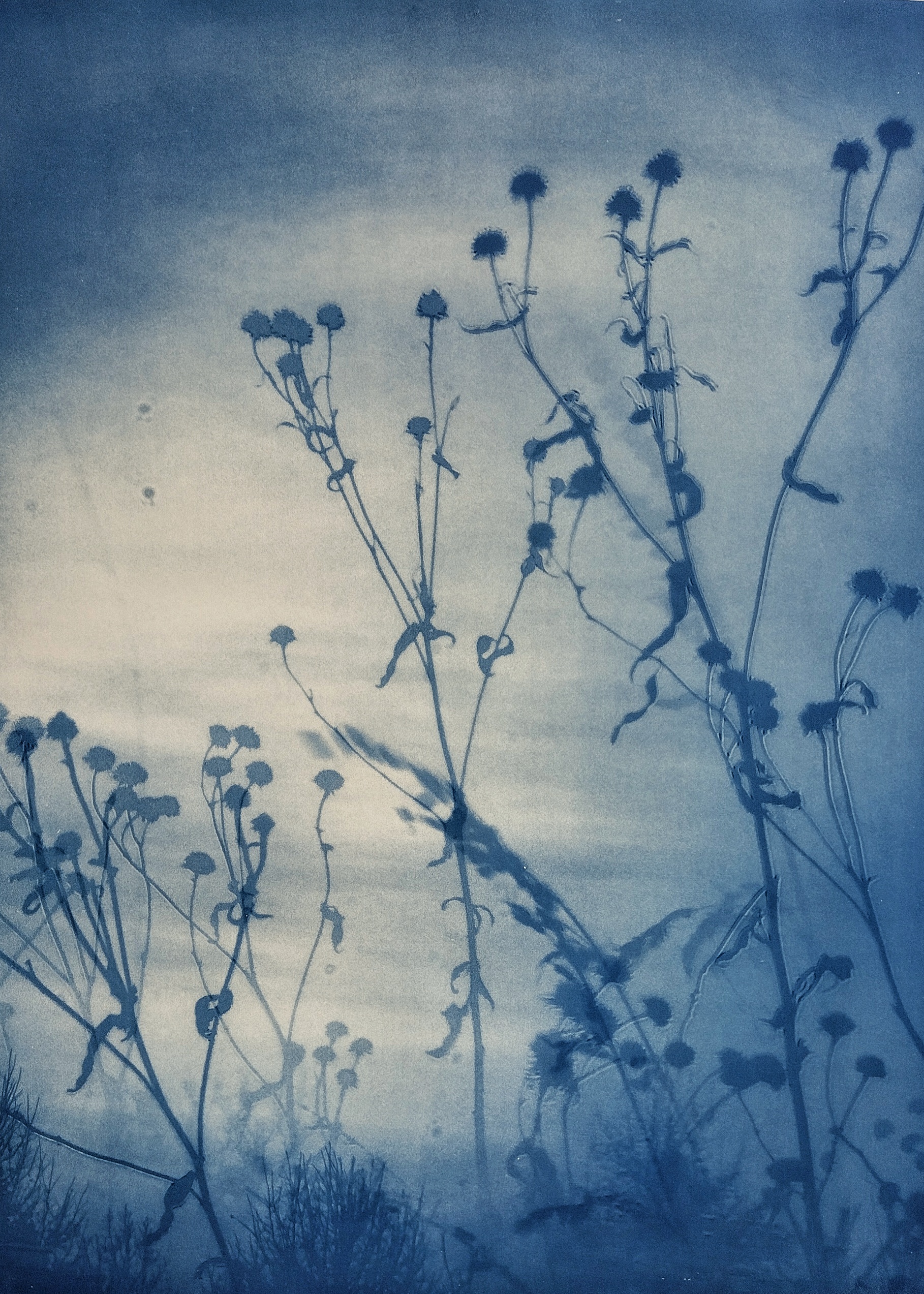 "Smoke in the spring" by Christina Humble