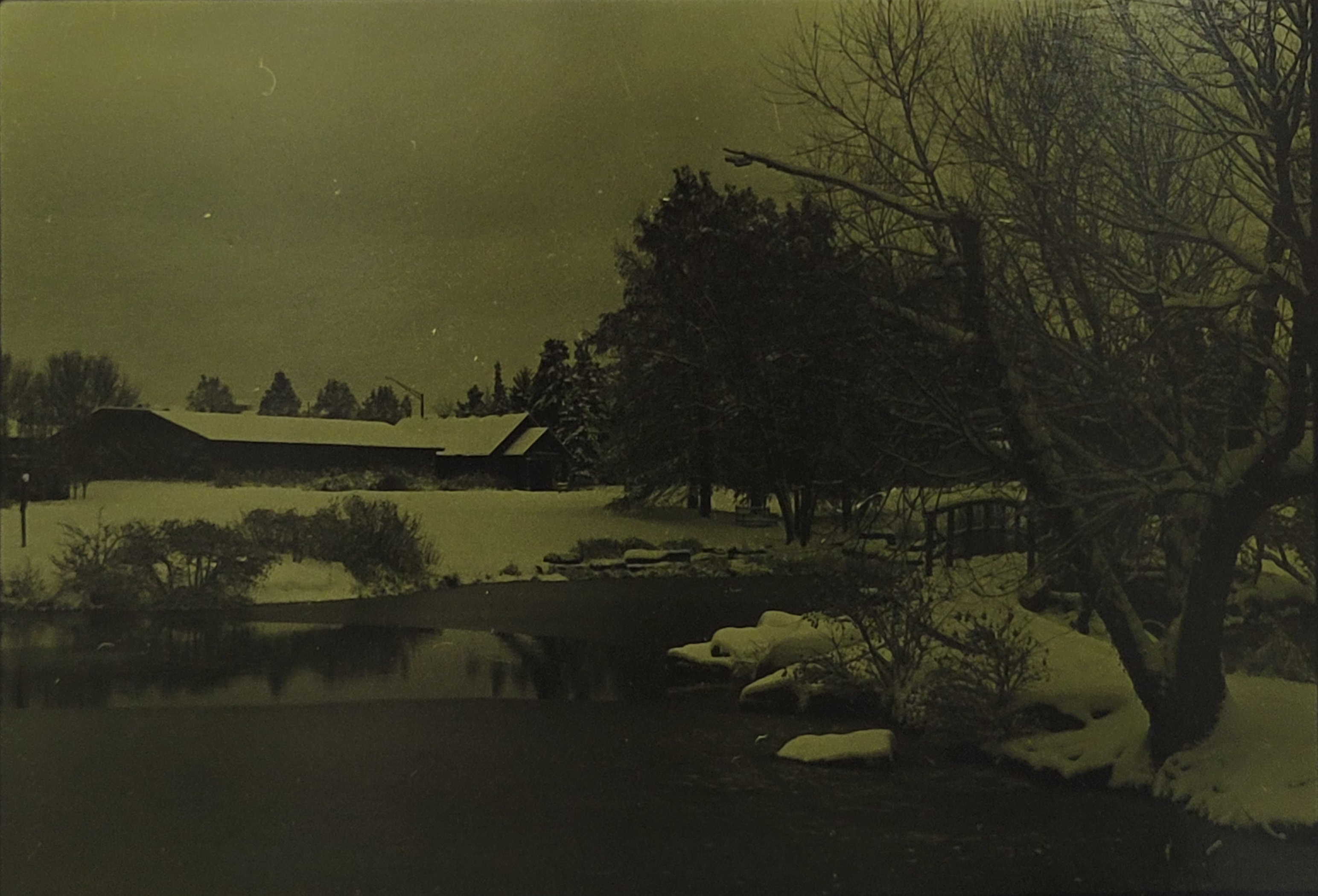 A colored photograph, tinted green, of a snowy landscape, a large building sits with a frozen pond in front of it. A large barren tree on the right side of the photo creates the feeling of calm and quiet along with the snow.