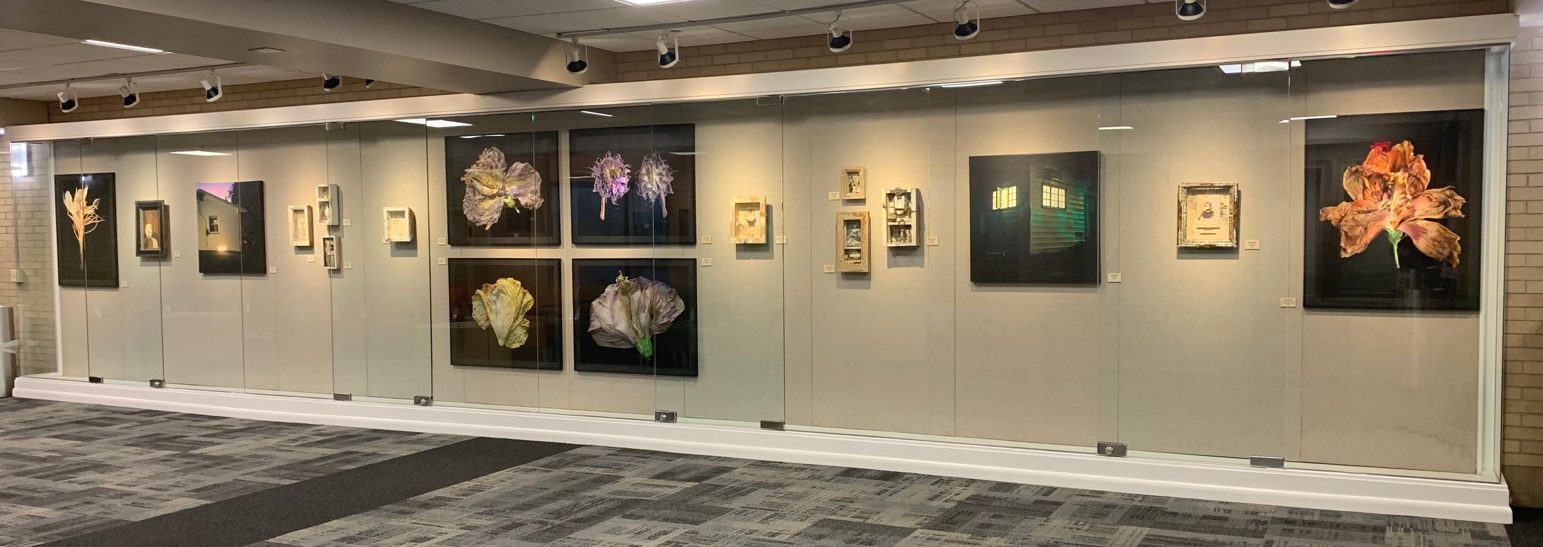The Works on Paper Gallery: A long glass-enclosed gallery featuring large decaying flower photographs by Ardine Nelson, Small Sculptural 3D collages by Wayne Bertola, and Nighttime façade photography by Jeremy Mudd.