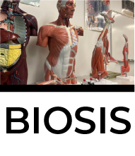 image of scientific models of the human anatomy in a lab setting and text that reads BIOSIS with a hyperlink to the BIOSIS web page