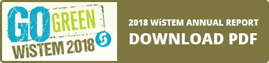 WiSTEM Report 2017